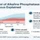 What Level of Alkaline Phosphatase Is Dangerous