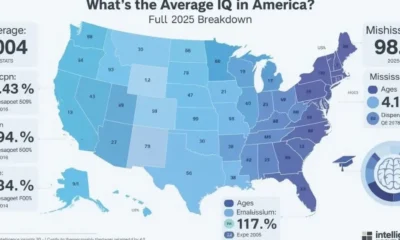 What’s the Average IQ in America